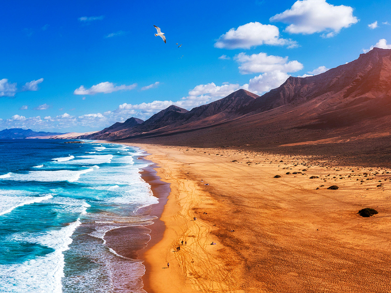 Ponte dell'Immacolata: Canarie – Fuerteventura: relax e avventure nel cuore dell'Oceano Atlantico