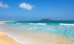 Ponte dell'Immacolata: Canarie – Fuerteventura: relax e avventure nel cuore dell'Oceano Atlantico