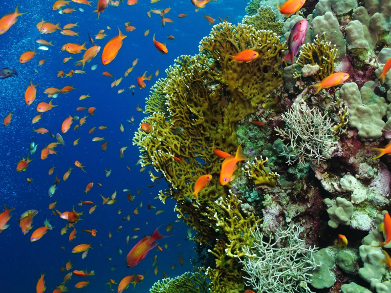 Madagascar: un viaggio nell'isola delle meraviglie