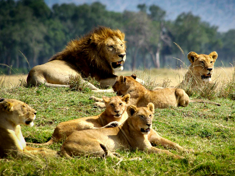 Kenya: spiagge di Watamu e colori della natura