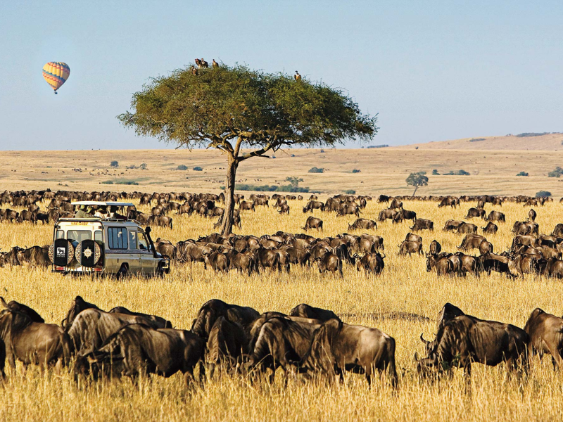 Kenya: spiagge di Watamu e colori della natura
