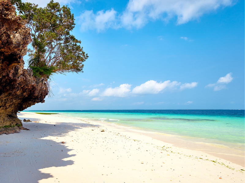 Capodanno a Zanzibar da Milano - mare, natura e relax