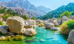 Ponte dell'Immacolata in Oman: nel cuore d'Oriente