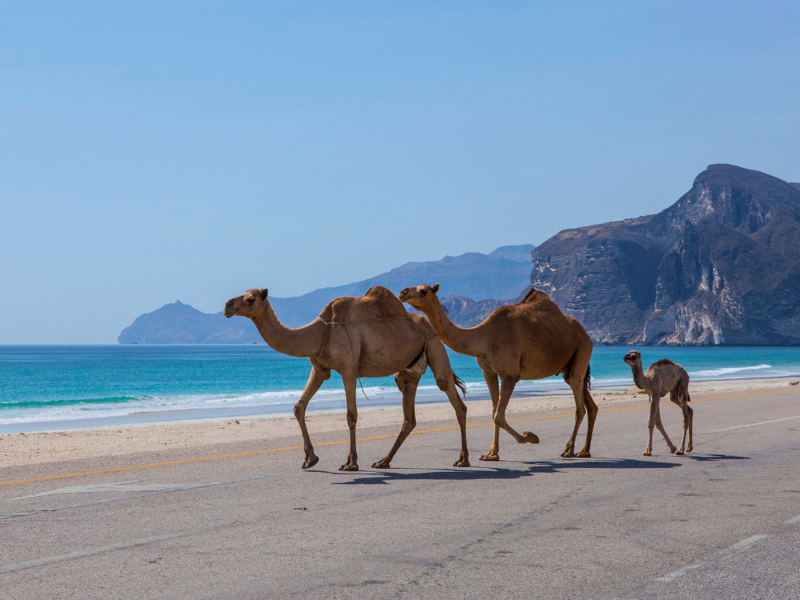 Ponte dell'Immacolata in Oman: nel cuore d'Oriente