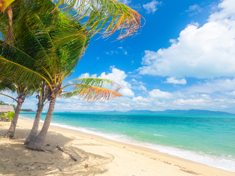 Ponte del 25 Aprile in Tour della Thailandia: dai templi dorati alle spiagge di Phuket