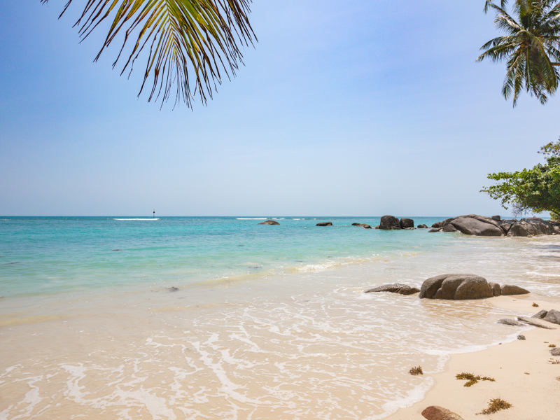 Ponte del 25 Aprile in Tour della Thailandia: dai templi dorati alle spiagge di Phuket